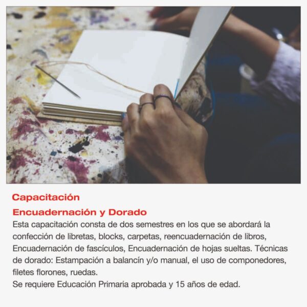 WhatsApp Image 2025-12-11 at 17.07.01